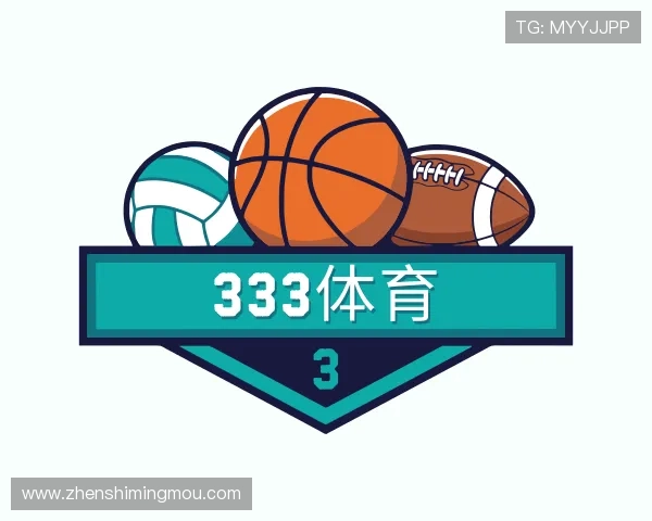 了解333体育平台网页版